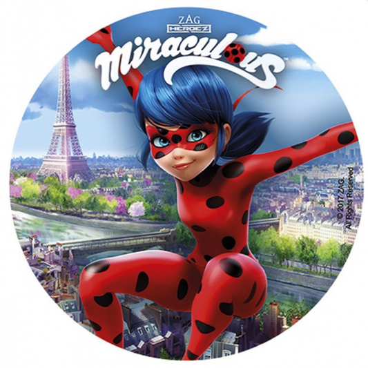 Miraculous Ladybug, Kakebilde 1