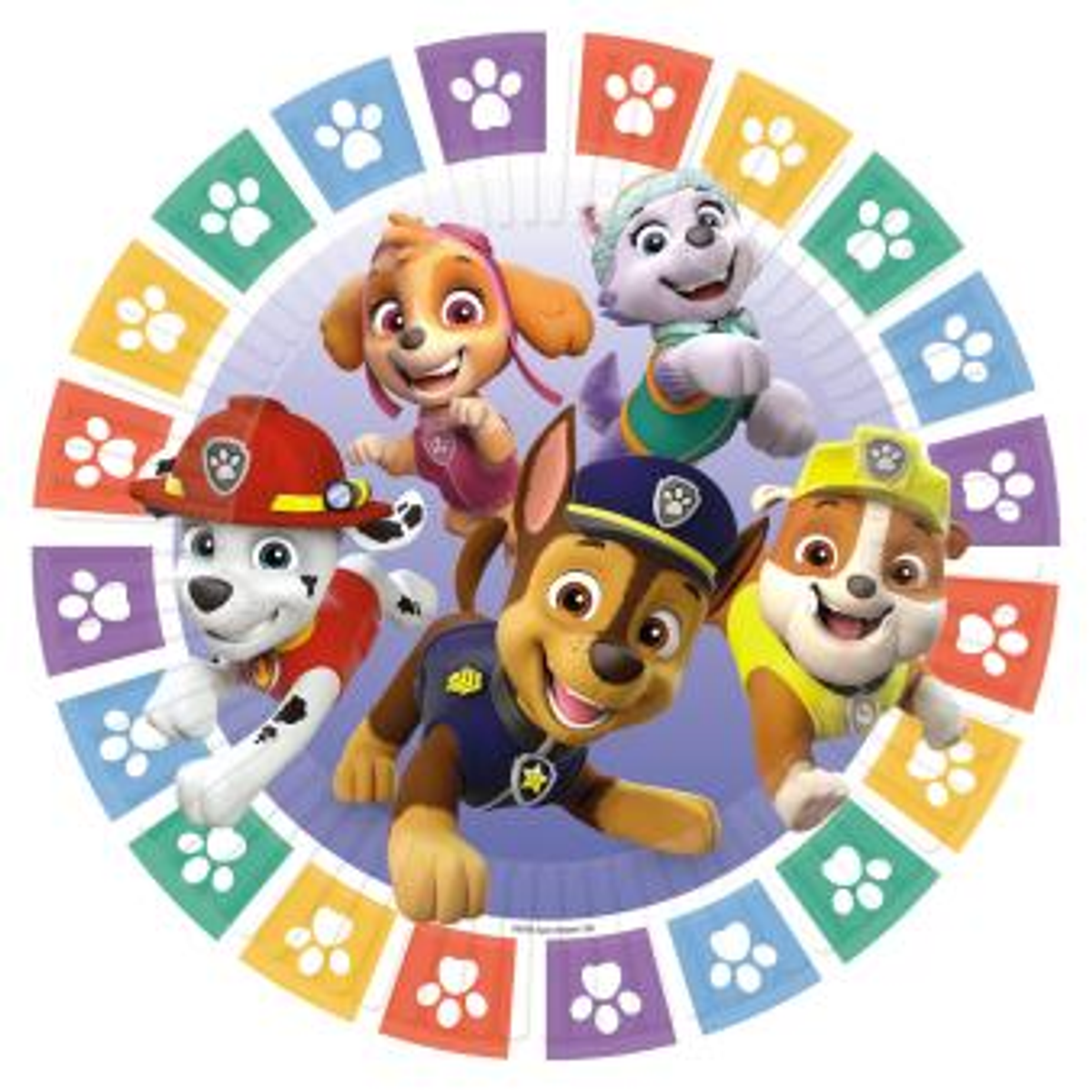 Paw Patrol Tallerkener